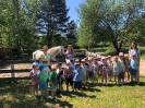 Wycieczka Żabek do Zagrody Edukacyjnej Wieś.co 27.05.24r.