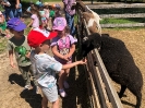 Wycieczka Żabek do Zagrody Edukacyjnej Wieś.co 27.05.24r.