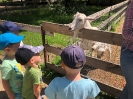 Wycieczka Żabek do Zagrody Edukacyjnej Wieś.co 27.05.24r.