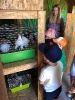 Wycieczka Żabek do Zagrody Edukacyjnej Wieś.co 27.05.24r.