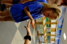 DSCF2946