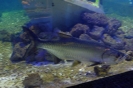 DSCF3012