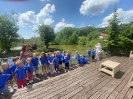 Wycieczka Delfinków do Kompleksu Świętokrzyska Polana 24.05.24r.