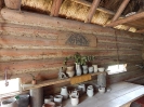 DSCN3235