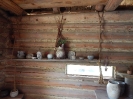DSCN3237