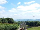 DSCN3341