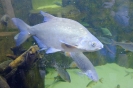 Wycieczka Skrzatów i Delfinków do Ośrodka Edukacji w Umianowicach 06.03.2024r.