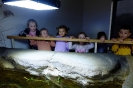 Wycieczka Skrzatów i Delfinków do Ośrodka Edukacji w Umianowicach 06.03.2024r.