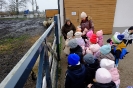 Wycieczka Skrzatów i Delfinków do Ośrodka Edukacji w Umianowicach 06.03.2024r.