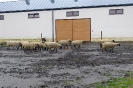 Wycieczka Skrzatów i Delfinków do Ośrodka Edukacji w Umianowicach 06.03.2024r.
