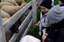 Wycieczka Skrzatów i Delfinków do Ośrodka Edukacji w Umianowicach 06.03.2024r.
