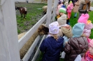 Wycieczka Skrzatów i Delfinków do Ośrodka Edukacji w Umianowicach 06.03.2024r.