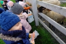 Wycieczka Skrzatów i Delfinków do Ośrodka Edukacji w Umianowicach 06.03.2024r.