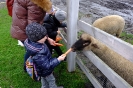 Wycieczka Skrzatów i Delfinków do Ośrodka Edukacji w Umianowicach 06.03.2024r.