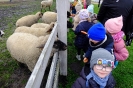 Wycieczka Skrzatów i Delfinków do Ośrodka Edukacji w Umianowicach 06.03.2024r.