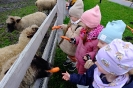 Wycieczka Skrzatów i Delfinków do Ośrodka Edukacji w Umianowicach 06.03.2024r.