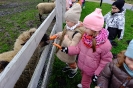 Wycieczka Skrzatów i Delfinków do Ośrodka Edukacji w Umianowicach 06.03.2024r.