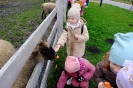 Wycieczka Skrzatów i Delfinków do Ośrodka Edukacji w Umianowicach 06.03.2024r.