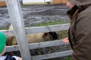 Wycieczka Skrzatów i Delfinków do Ośrodka Edukacji w Umianowicach 06.03.2024r.