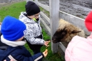 Wycieczka Skrzatów i Delfinków do Ośrodka Edukacji w Umianowicach 06.03.2024r.