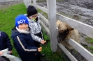 Wycieczka Skrzatów i Delfinków do Ośrodka Edukacji w Umianowicach 06.03.2024r.
