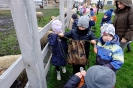 Wycieczka Skrzatów i Delfinków do Ośrodka Edukacji w Umianowicach 06.03.2024r.