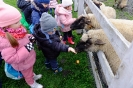 Wycieczka Skrzatów i Delfinków do Ośrodka Edukacji w Umianowicach 06.03.2024r.