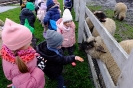 Wycieczka Skrzatów i Delfinków do Ośrodka Edukacji w Umianowicach 06.03.2024r.