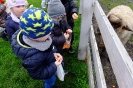 Wycieczka Skrzatów i Delfinków do Ośrodka Edukacji w Umianowicach 06.03.2024r.