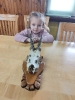 IMG20231116095937 (