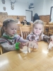 IMG20231116103513 (