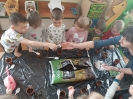 Zielony ogródek u Tygrysków 05.04.2024