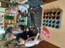 Zielony ogródek u Tygrysków 05.04.2024