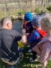 Biedronki ogrodnikami - 14.04.2025