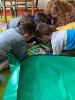 Biedronki ogrodnikami - 14.04.2025