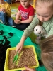 Biedronki ogrodnikami - 14.04.2025