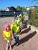 Biedronki poznają zasady ruchu drogowego - 17.10.2024