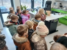 Biedronki u wterynarza - 26.02.2025
