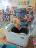 IMG-20250110-WA0056