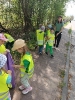 Delfinki sprzatają świat 24.04.2025