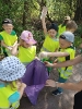 Delfinki sprzatają świat 24.04.2025