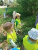 Delfinki sprzatają świat 24.04.2025