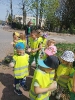 Delfinki sprzatają świat 24.04.2025