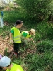 Delfinki sprzatają świat 24.04.2025