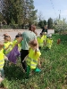 Delfinki sprzatają świat 24.04.2025