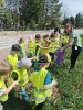 Delfinki sprzatają świat 24.04.2025