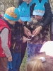 Delfinki szukają wielkanocnych niespodzianek 15.04.2025