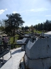 IMG-20250501-WA0018
