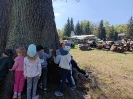 IMG-20250501-WA0055