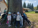 IMG-20250501-WA0056